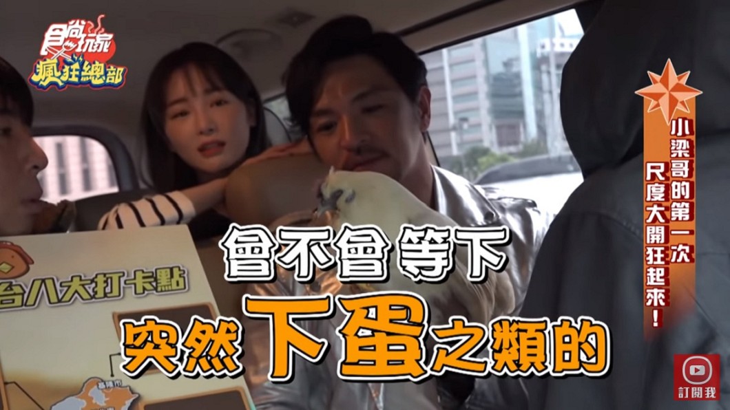 舒子晨質疑母雞會不會等下就下蛋,沒想到一語成讖。(圖/TVBS)