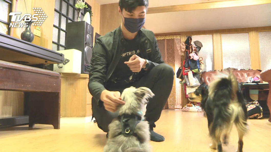 居家檢疫商機！代寵物美容　到府陪健身