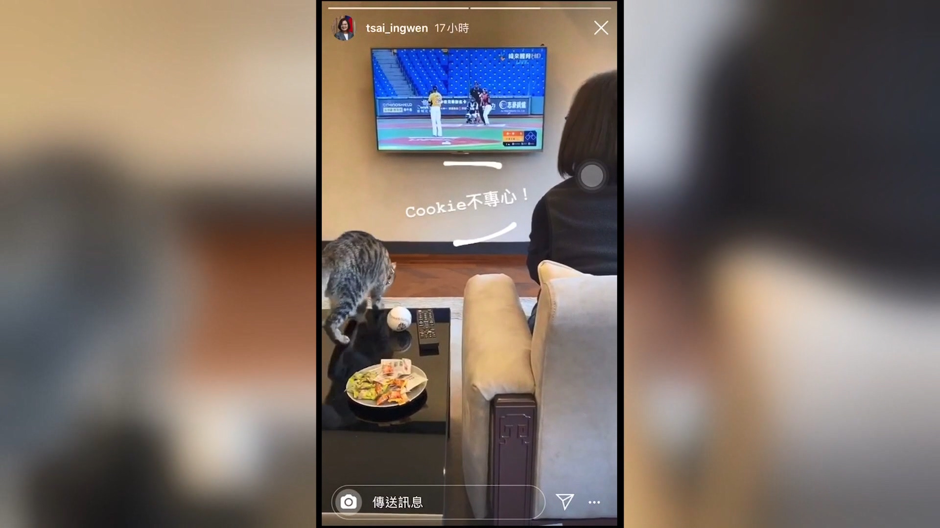 圖/翻攝自蔡英文 IG