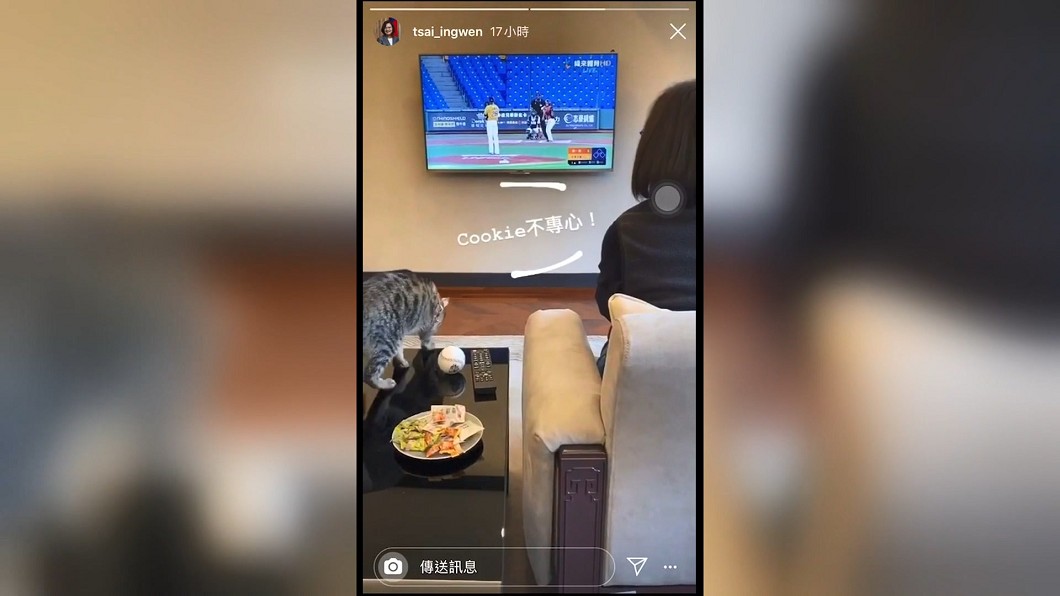 圖/翻攝自IG tsai_ingwen
