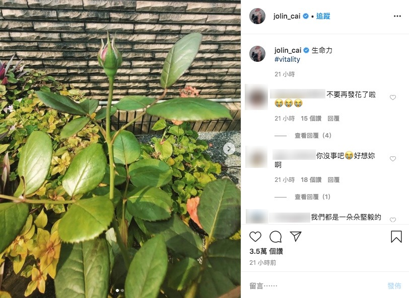 (圖／翻攝自蔡依林Instagram)