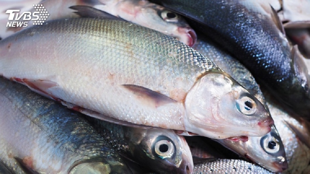 喝魚湯「肛門痛3天」…女以為得痔瘡 2公分魚刺卡腸道