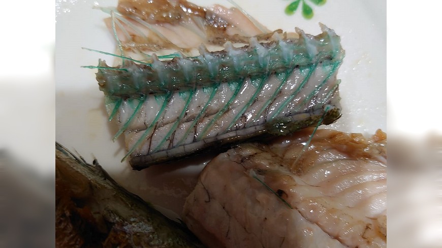 被污染?吃魚驚見「鮮豔綠骨」嚇壞她 行家神揭密