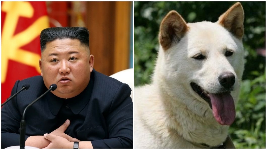 金正恩「犬決」是什麼品種狗？網揭內幕：牠曾咬死老虎