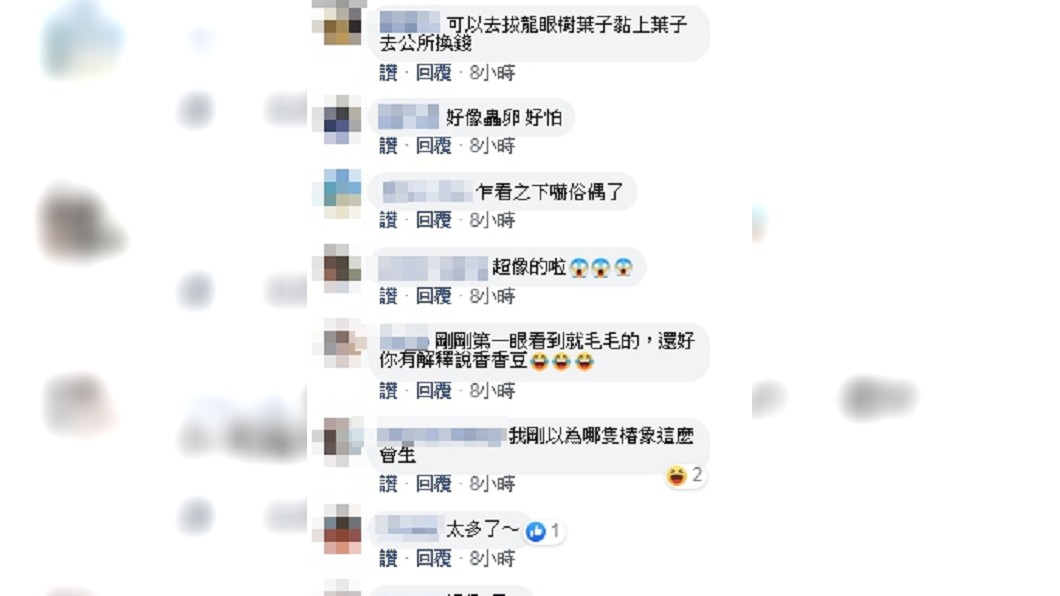 (圖／翻攝自爆廢公社)