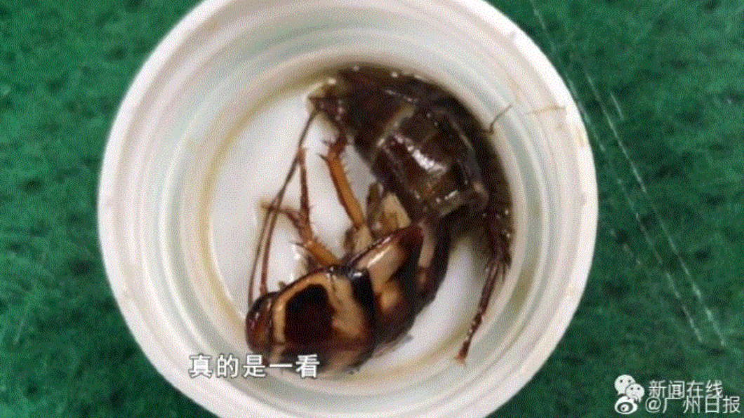 (圖/翻攝自廣州日報)
