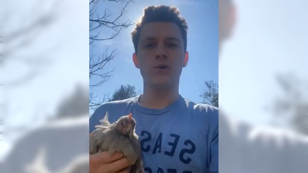 圖/翻攝自tomholland2013 Instagram