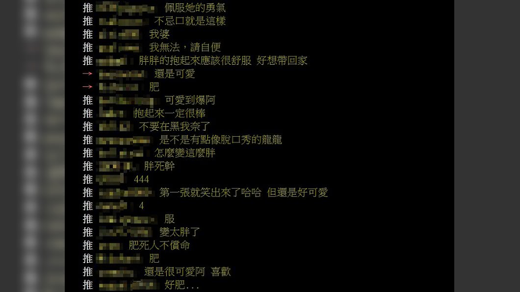 (圖/翻攝自PTT「八卦板」)