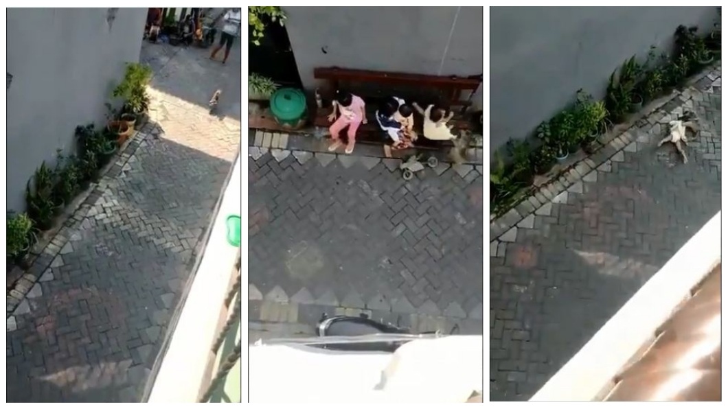 彷彿化身魔鬼…猴子騎車衝人群 大街強擄拖行幼童