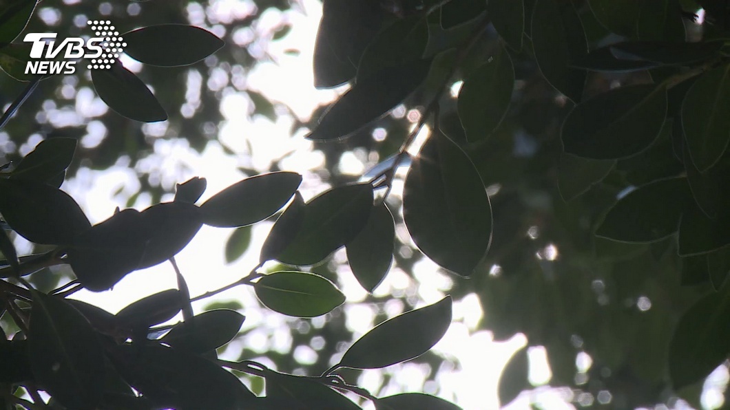 全台持續炎熱!9縣市亮高溫燈號 花蓮上看38度