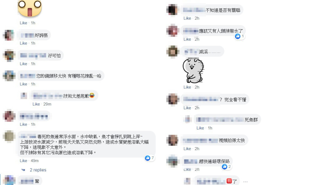 (圖／翻攝自臉書社團「文山幫 ❤ 文山區 木柵 景美 萬隆 興隆 萬芳 政大 公館 古亭 中正區 大安區」)