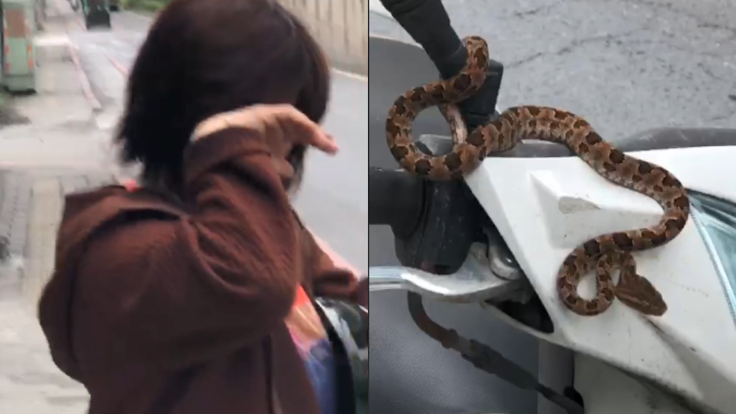 機車竄出龜殼花嚇哭婦人 阿伯安慰內容超母湯