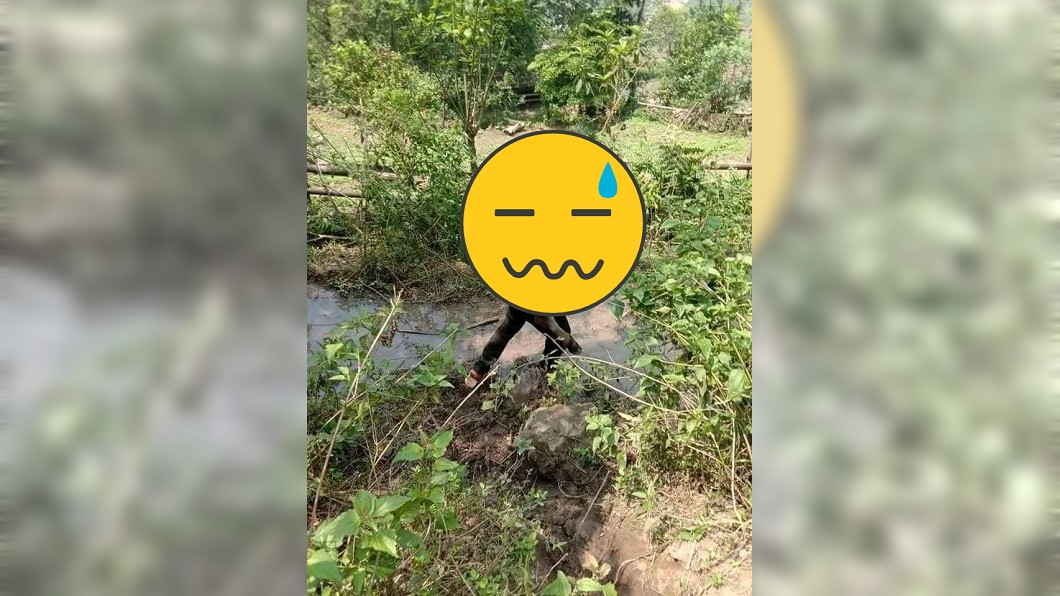 奇妙畫面!牠散步「懶得走」主人背 網笑:工讀生出來