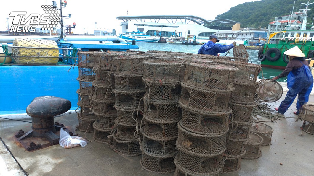 違法章魚籠破壞海洋生態　馬祖掃蕩清除594具