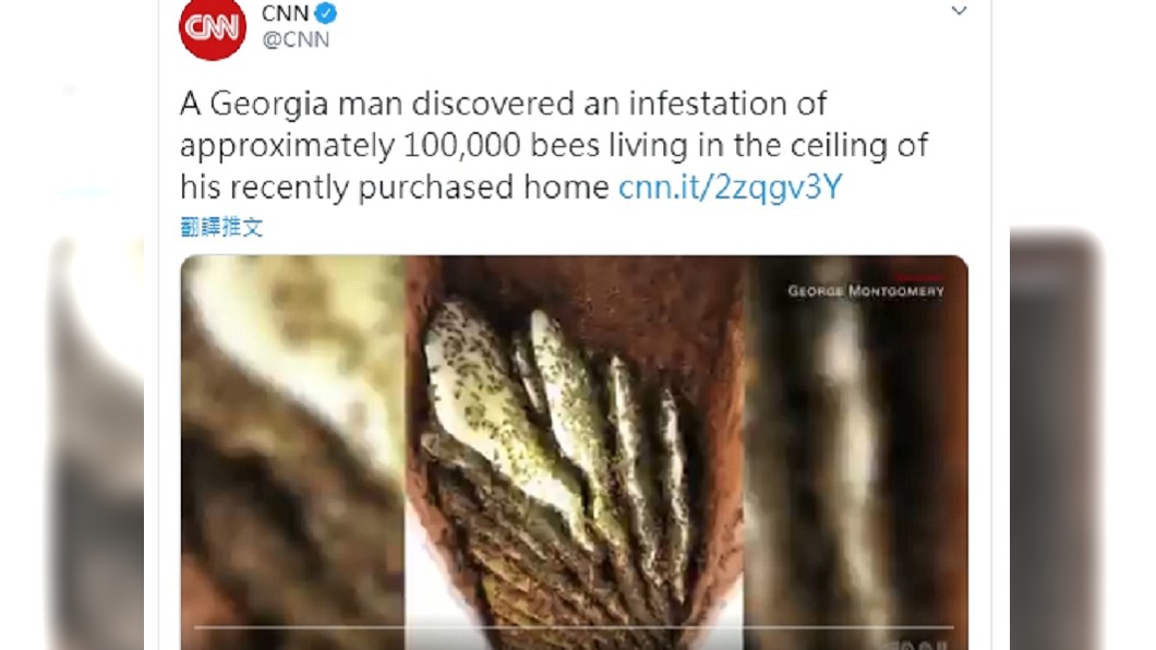 圖/翻攝自推特CNN