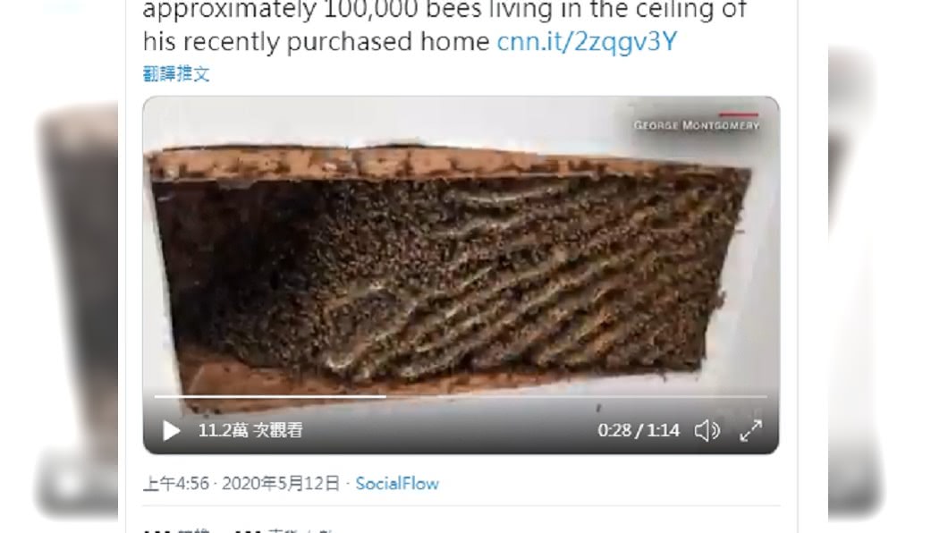 圖/翻攝自推特CNN