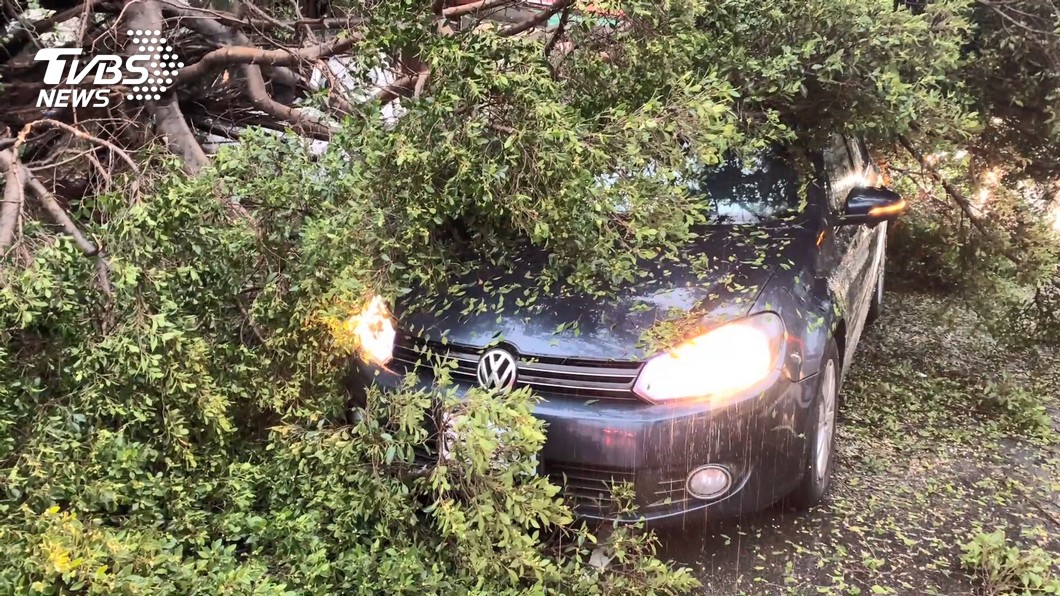圖/TVBS