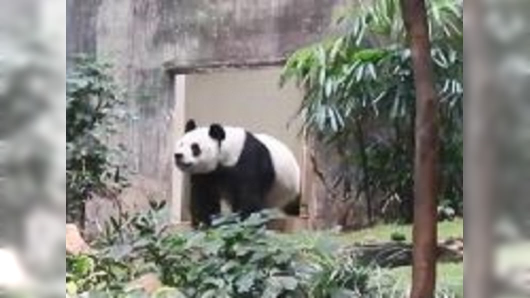 圖/翻攝自香港文匯網微博