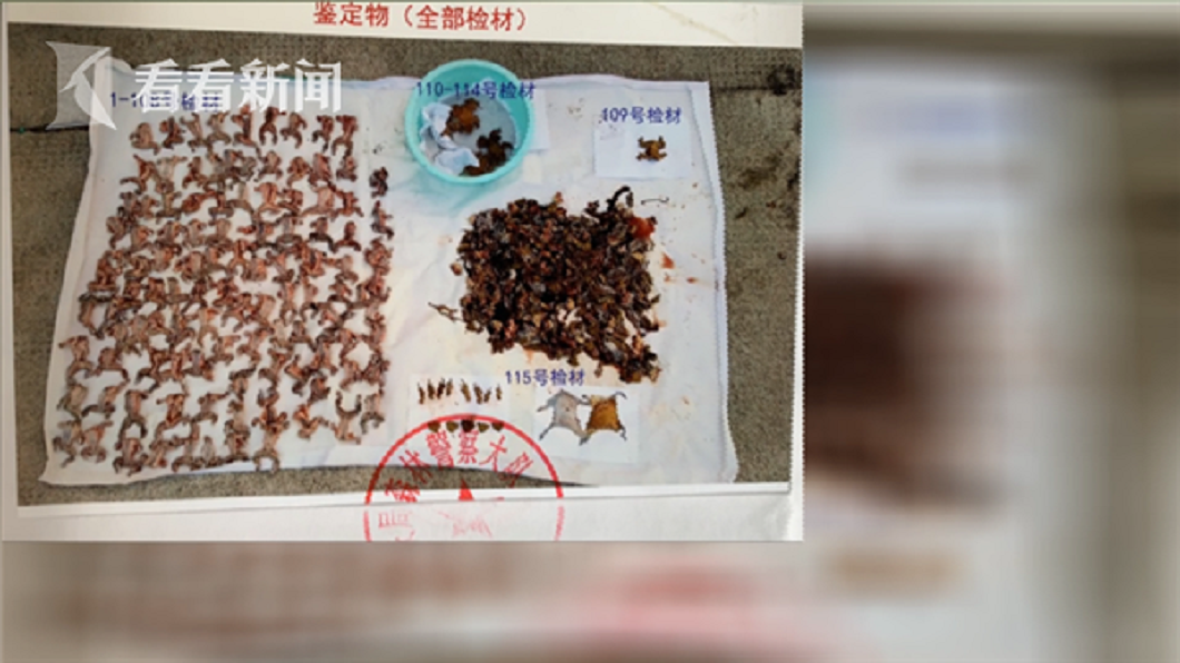有男子好心抓了114隻蟾蜍要幫好友的妻子治病,結果誤觸法網被判拘役3個月。(圖/翻攝自維基百科)
