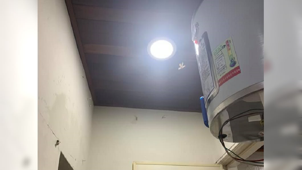 密集恐懼慎入！台南豪雨引「上萬飛蟻」侵宅　兒狂喊救命