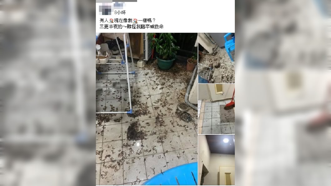圖/翻攝自臉書社團「台南爆料公社」