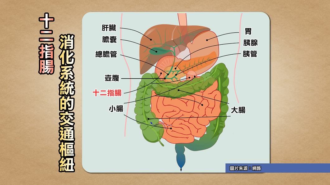 (圖/TVBS)