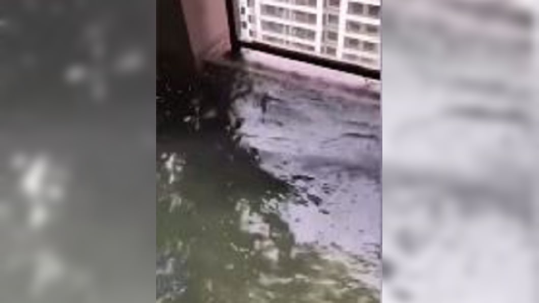 圖/翻攝自澎湃新闻微博