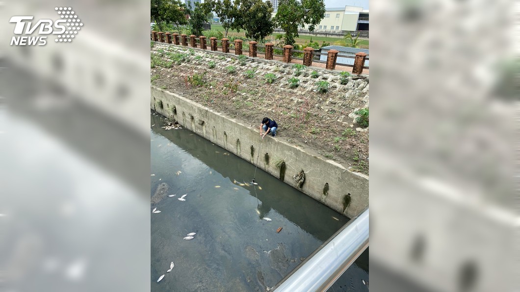 鳳山溪浮現死魚 研判豪大雨夾帶廢棄物造成