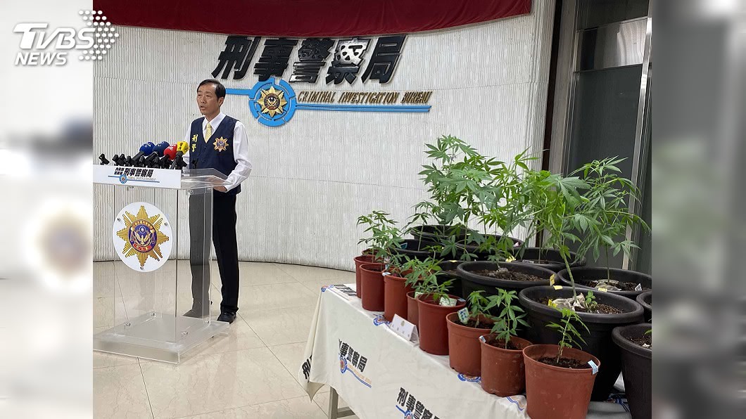 桃園男網路自學種大麻 警破民宅式大麻工廠