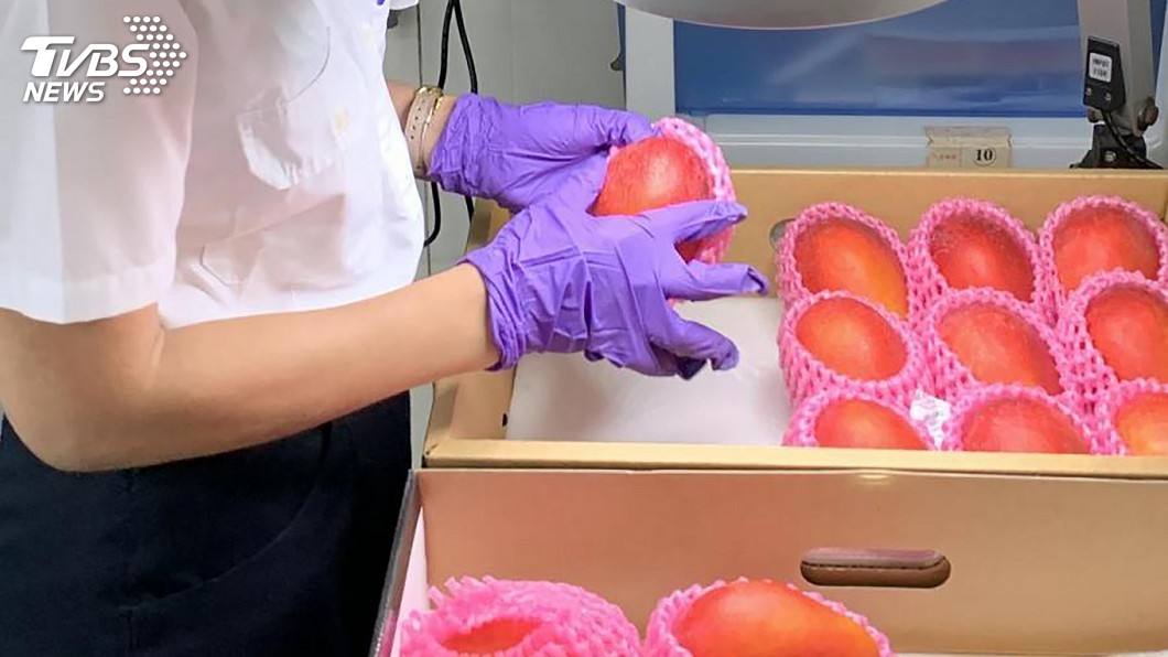 華航首班水果類包機 玉荷包、芒果直航日本