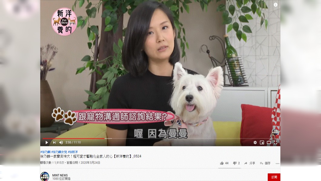 (圖/翻攝自MINT NEWS YouTube頻道)