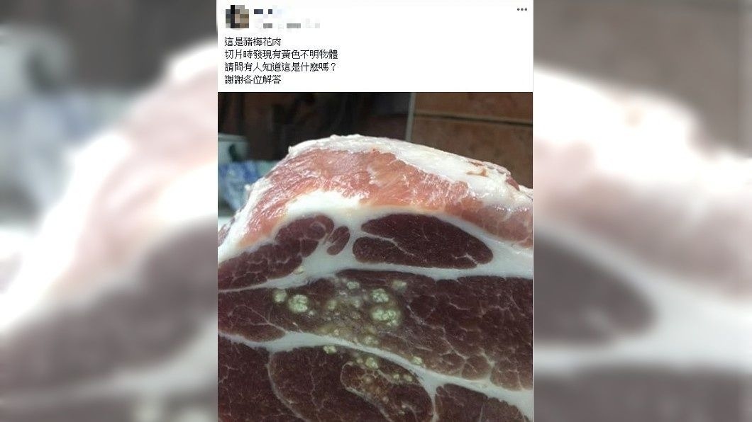 有民眾發現買回來的豬肉切片後,出現詭異的不明黃色凸點。(圖/翻攝自爆系知識家臉書社團)