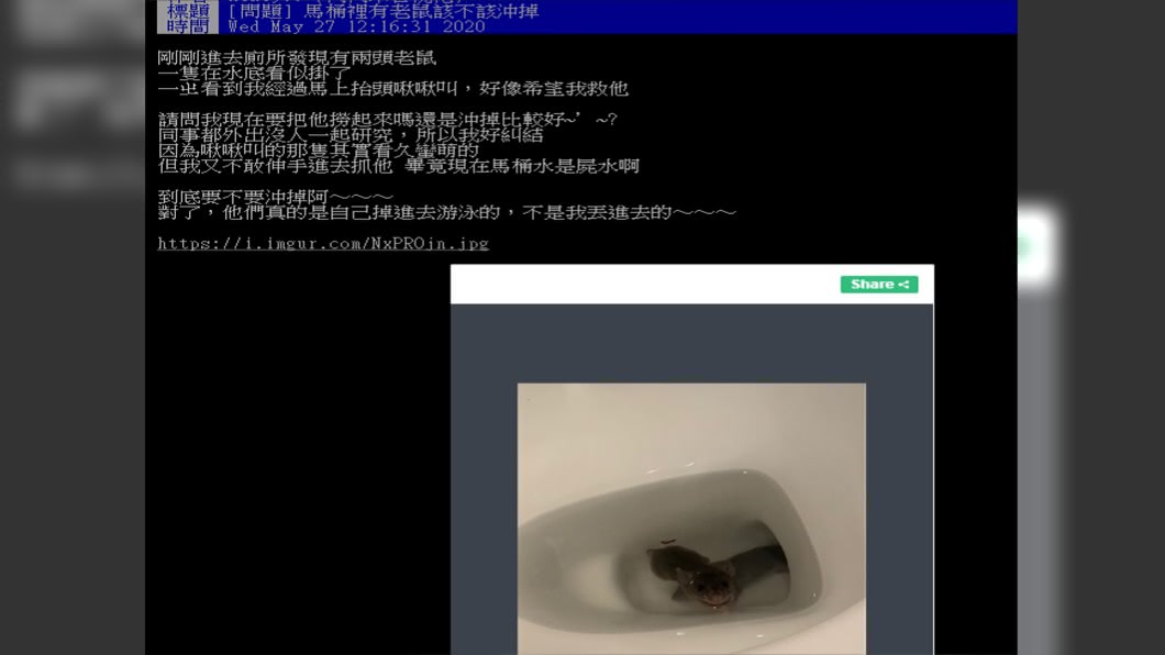 圖/翻攝自PTT