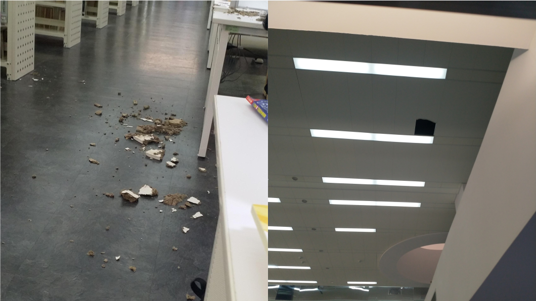 北市圖書館天花板坍塌 目擊者驚:差50公分就爆頭