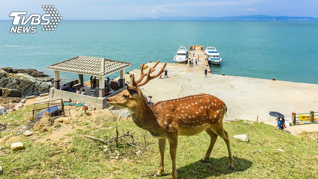 馬祖推動大坵暗空旅遊　尋求在地鄉親認同