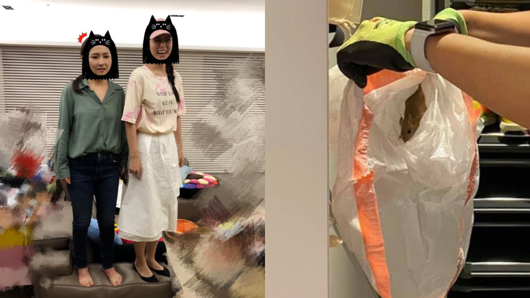 （圖／翻攝自任家萱 Selina Facebook）