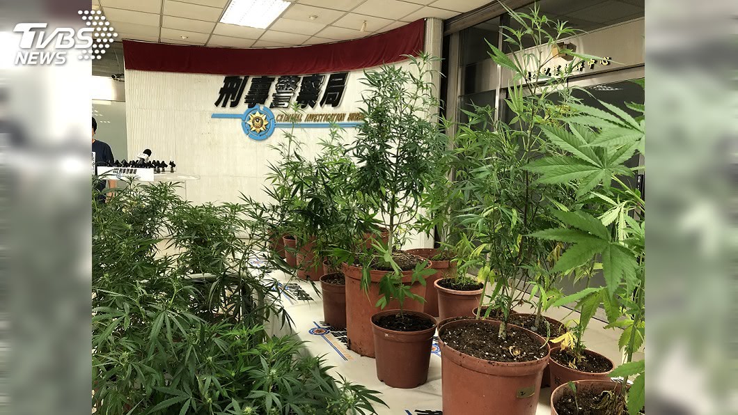 月花10萬租陽明山豪宅 退役軍人網學種大麻