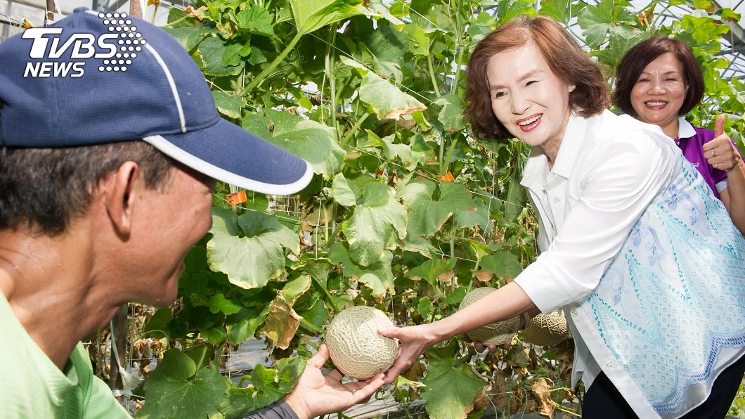 宜蘭壯圍哈密瓜上市 產期至6月底