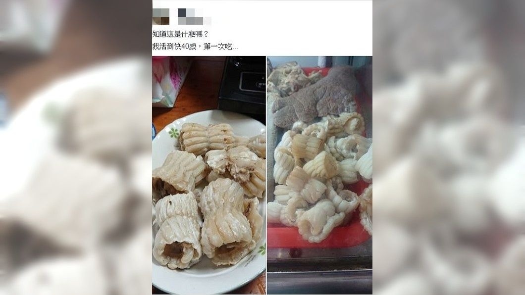 有網友稱說自己日前點了一份黑白切來吃,但其中一個食材自己從未吃過,請問這是什麼食物。(圖/翻攝自爆廢公社公開版)