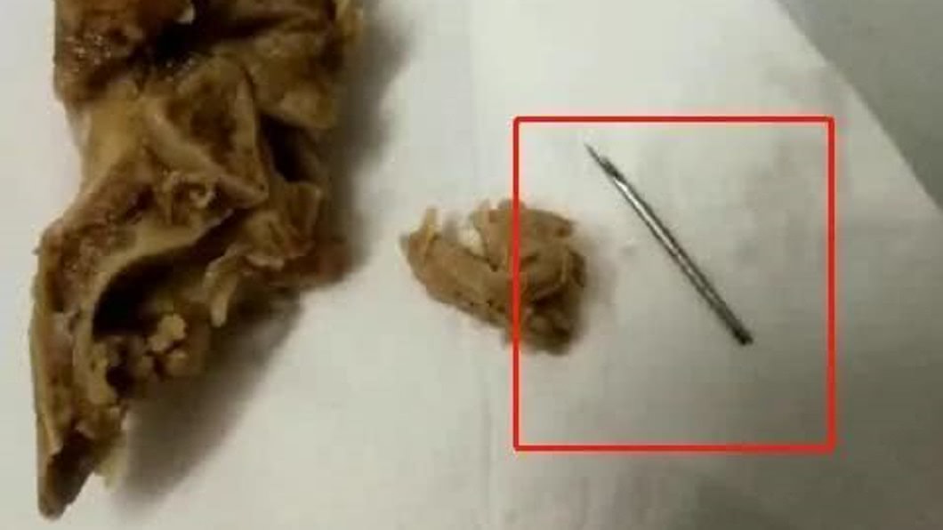 （圖／翻攝自南國今報）