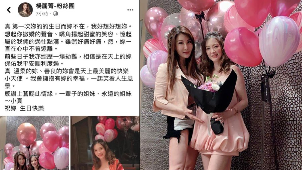 (圖/翻攝自楊麗菁臉書)