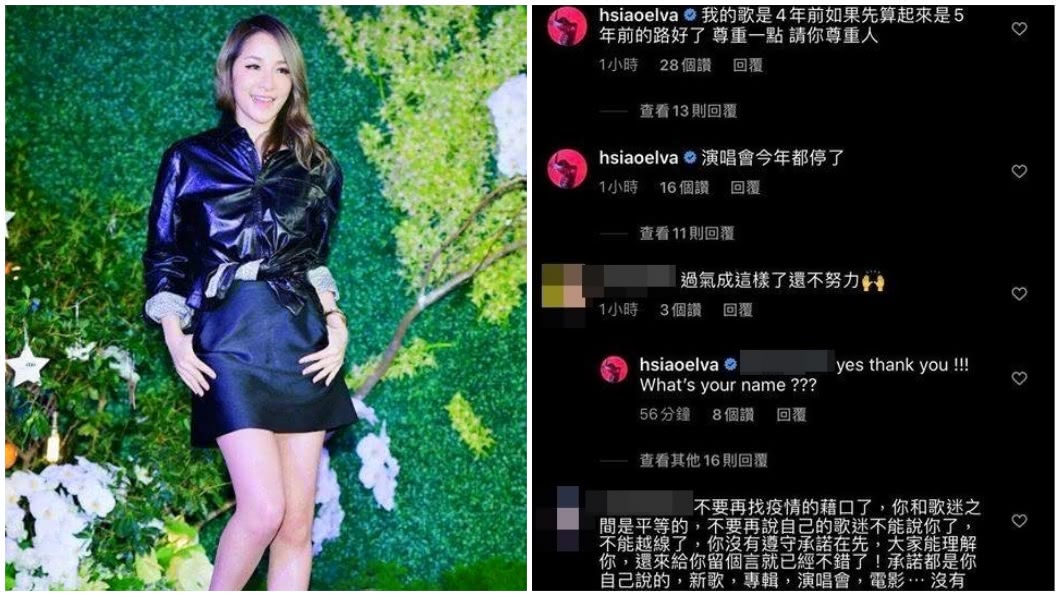 酸民留言嗆聲過氣還不努力,蕭亞軒也霸氣回應。(圖/翻攝自蕭亞軒IG)