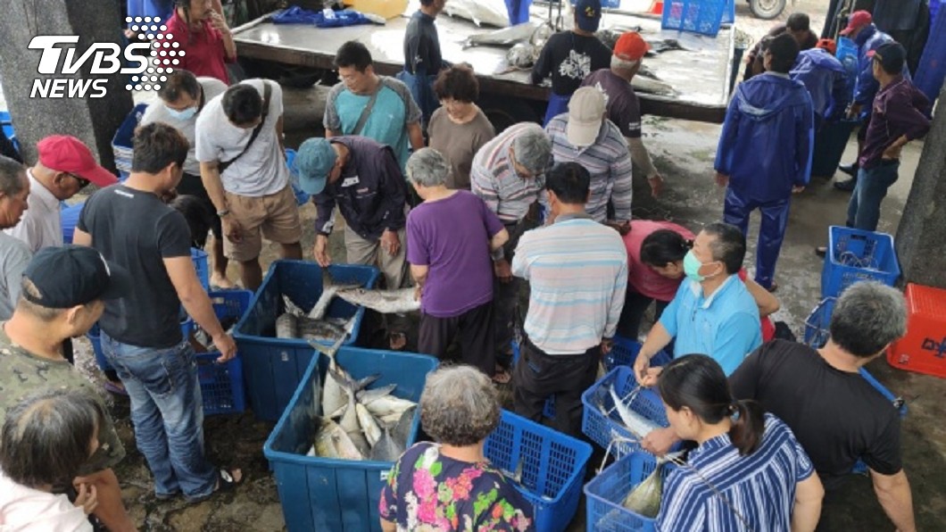 颱風季節將屆　台東三和漁場收網暫停出海3個月