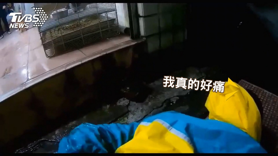 圖/TVBS