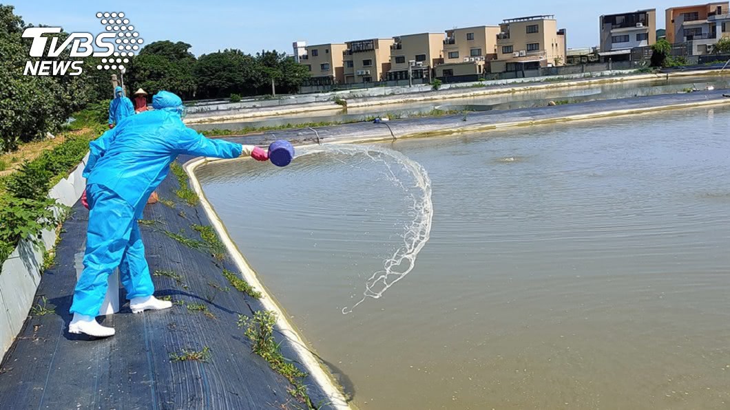 全台逾10螯蝦場 確診中國十足目虹彩病毒