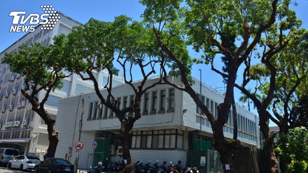 老樹修剪過頭 保育類翠翼鳩少了夏季饗宴