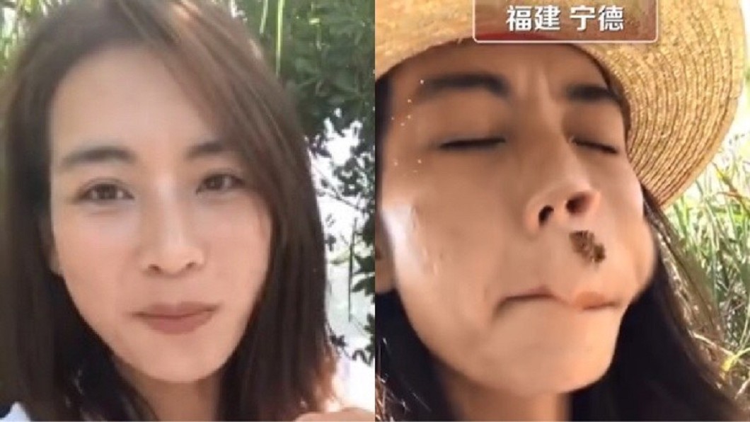 福建一名正妹直播吃蜂巢。(圖/翻攝自微博)