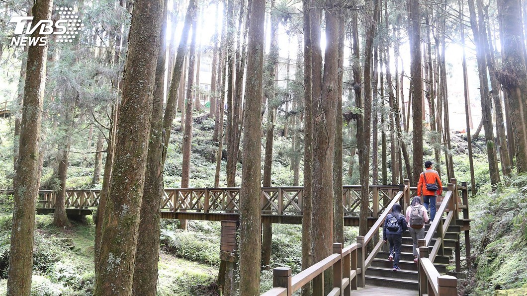 端午連假疏運 阿里山公路90至95K可停車轉搭接駁