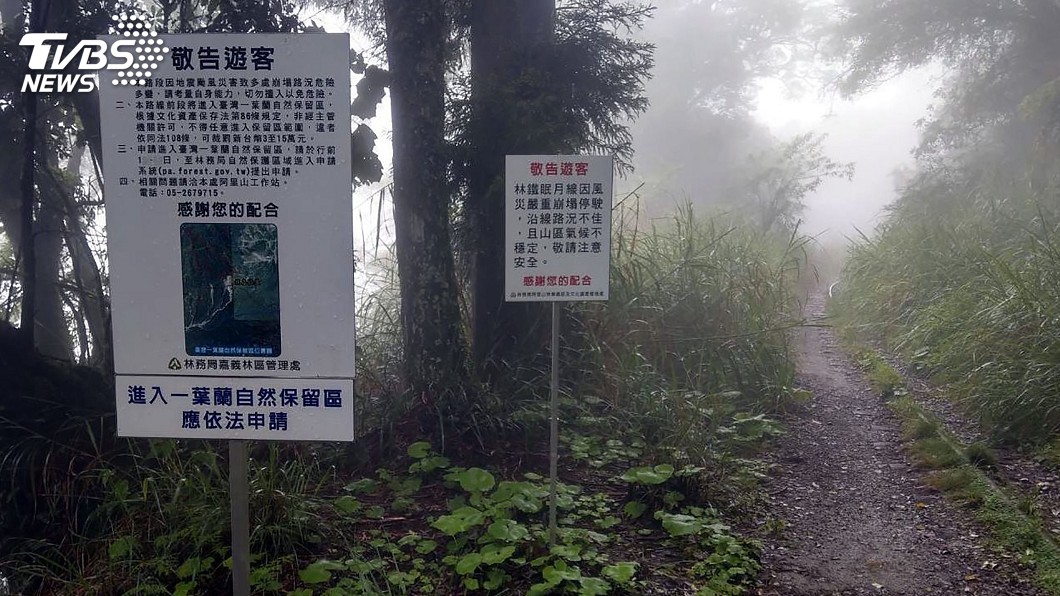 阿里山秘境林鐵眠月線 遊客未申請進入將開罰