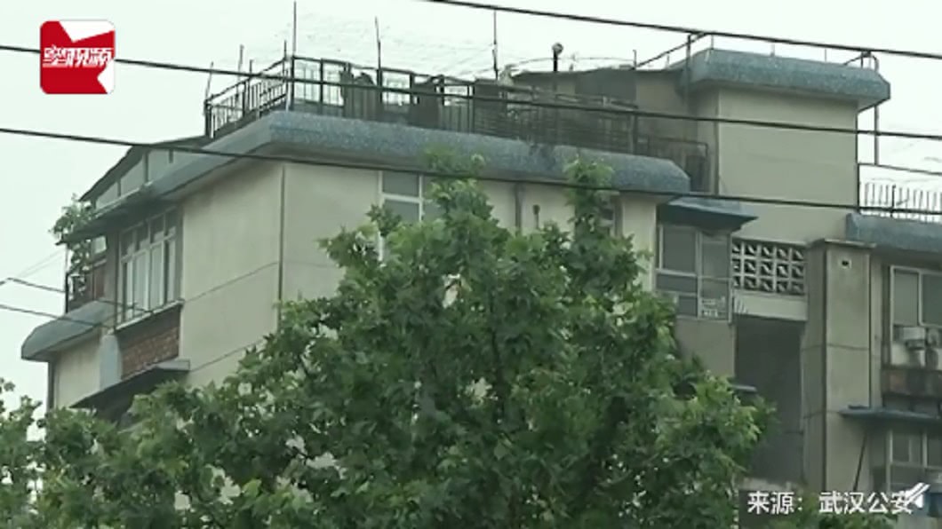 （圖／翻攝自星視頻）